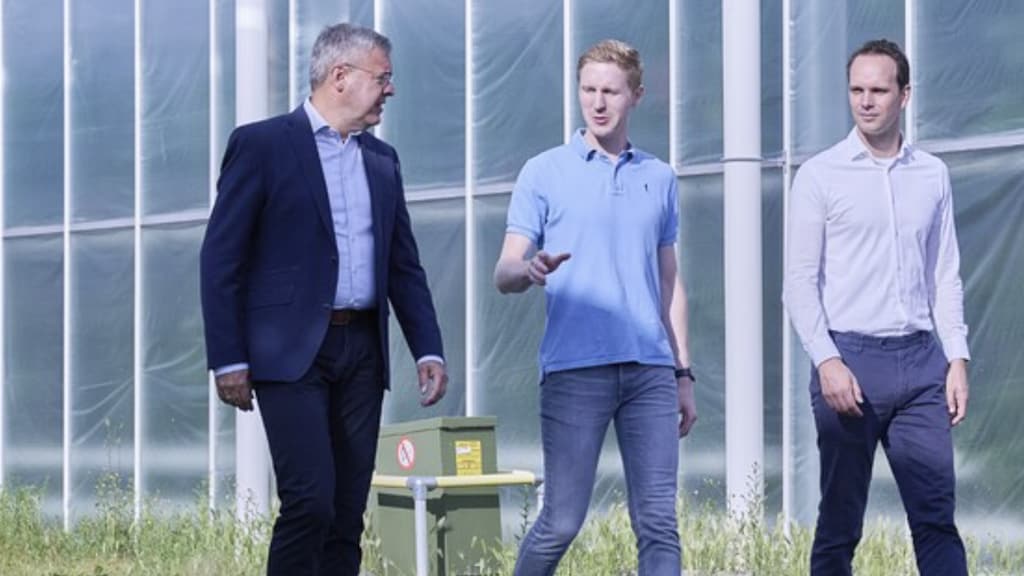 Deze kassen worden verwarmd door Moeder Aarde