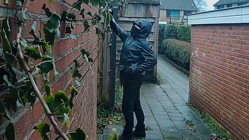 Gert gooit al drie jaar condooms en bierflesjes over de schutting van buren in Zeeman Confronteert