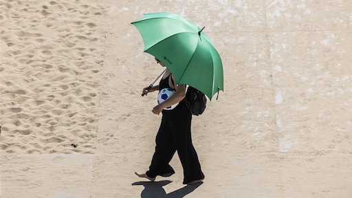 Klimaatrecords vielen als dominostenen om in 2023, het warmste jaar ooit gemeten