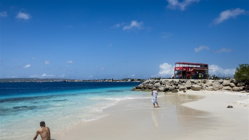 De zee stijgt, maar geen bescherming: inwoners Bonaire klagen Nederlandse staat aan