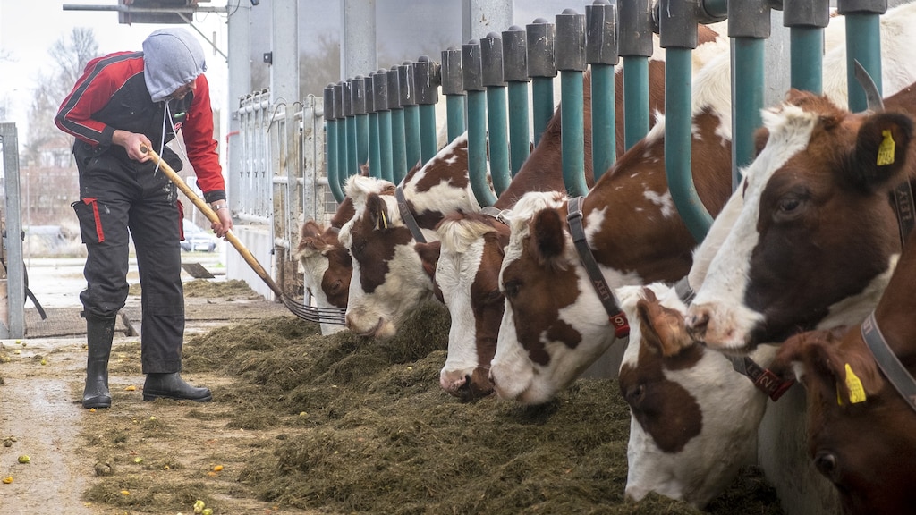 Biolandbouw in Nederland groeit, maar kabinetsdoel 2030 nog ver weg