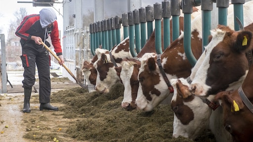 Biolandbouw in Nederland groeit, maar kabinetsdoel 2030 nog ver weg