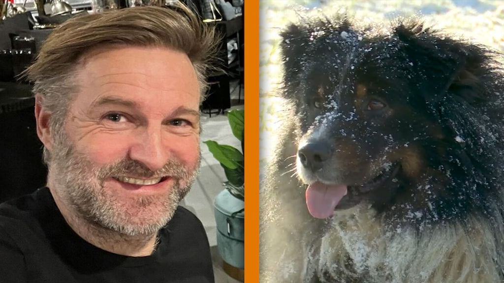 Mark uit MAFS helpt verlaten hond Snoetje uit de schulden