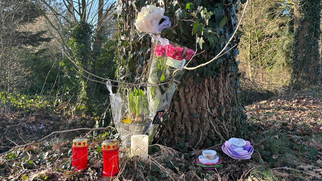 Bloemen vlak bij het huis in Weiteveen.