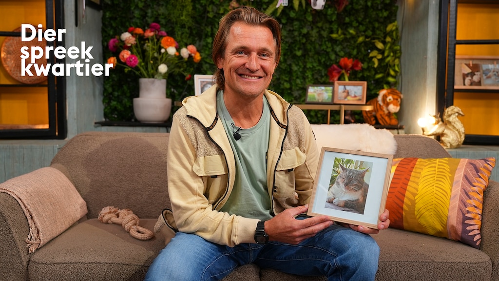 Krabt jouw kat graag aan je meubels? Dit is de oplossing volgens dierenarts Piet