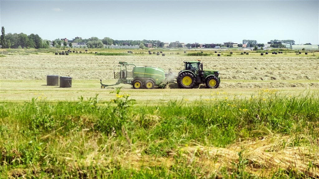 Minder gras door droge zomer en dus meer stikstof in de natuur