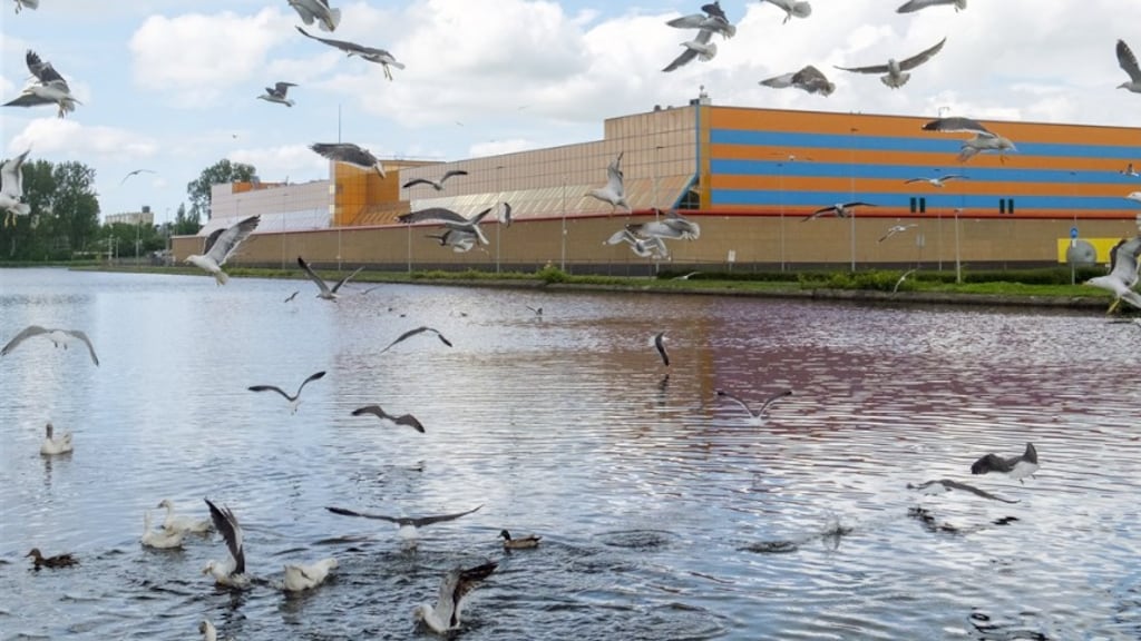 PI Rotterdam, locatie De Schie