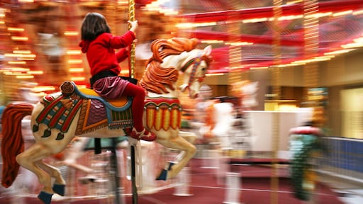 Geen rondje meer op draaimolenpaard: 'Mag een stokpaard straks ook niet meer?'