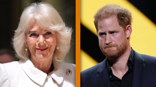 'Koningin Camilla mocht niet aanwezig zijn tijdens flitsbezoek van prins Harry'