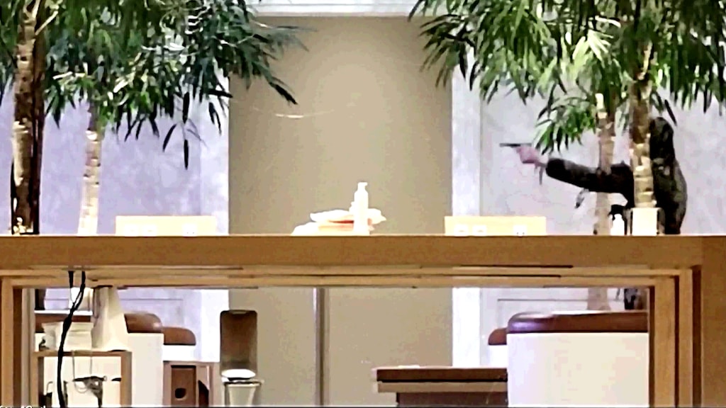 De gijzelnemer in de Apple Store.