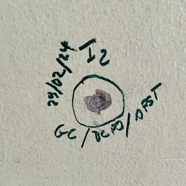 Kogels sloegen in in de muren van het luchthavengebouw.