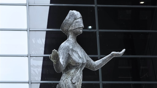 Man (23) krijgt drie jaar celstraf voor verkrachting studenten