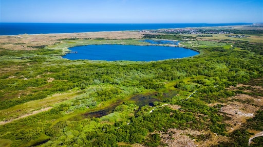 Landbouwgif in Noord-Hollands water: onderzoek ingesteld