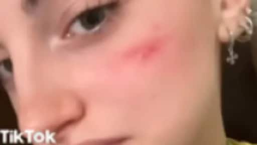 Miljoenenboete voor TikTok om video's met 'Frans litteken'