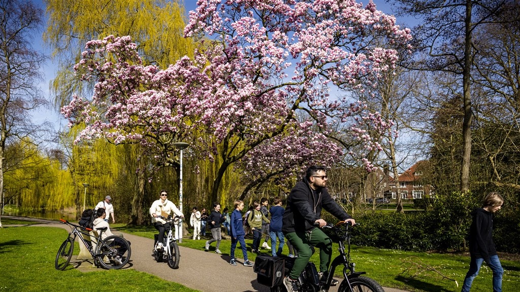 Vroege lente écht gevaarlijk voor natuur: 'Nu vorst, en schade is niet te overzien'