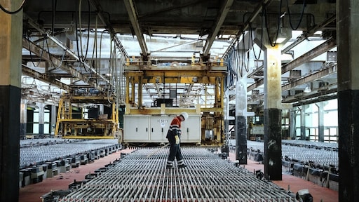 Zinkmaker Nyrstar heeft 'dringend hulp nodig' uit Den Haag, zegt de ceo