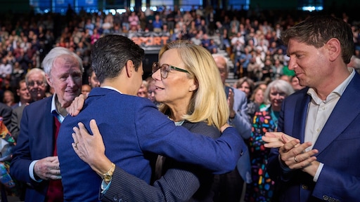 Kritisch partijrapport: D66 vaak 'betweterig', nieuw leiderschap was teleurstelling