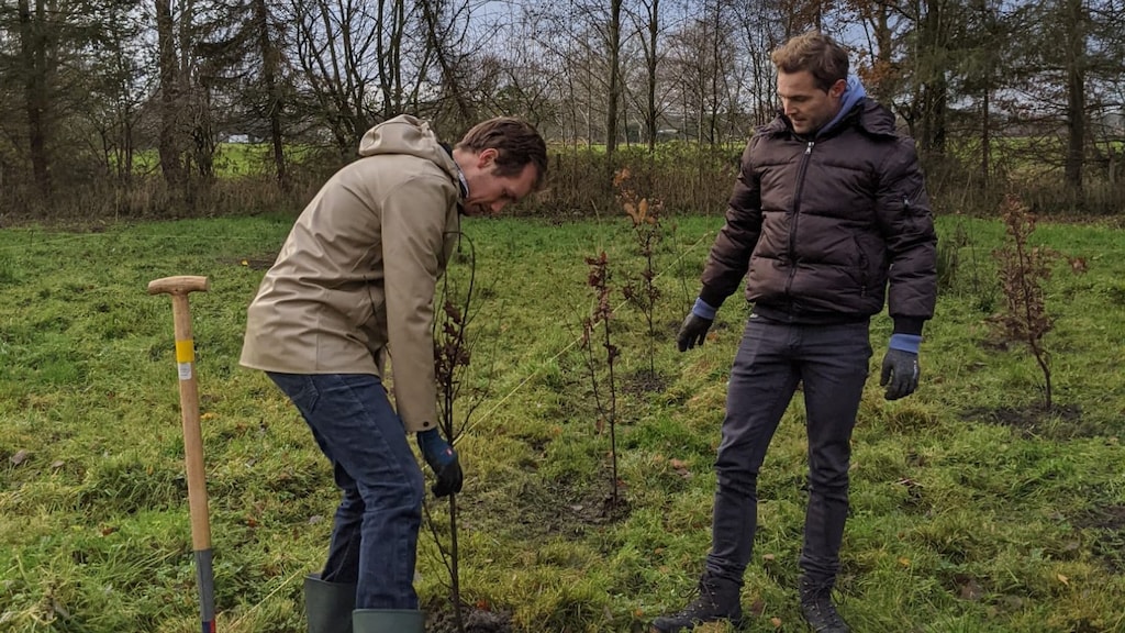 Een paar keer per jaar is er een bomenplantdag.