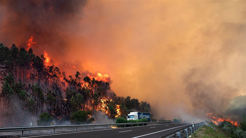 Bosbranden in Portugal, in augustus.