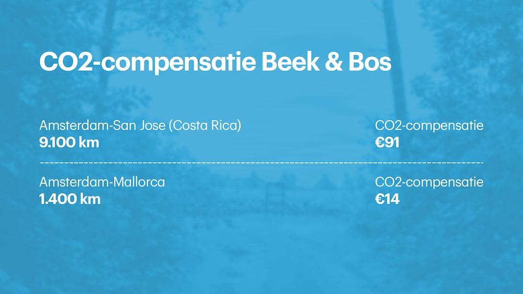 Voorbeelden van CO2-compensatie bij het klimaatbos.