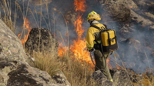 Belangrijke uitspraak vandaag: is slecht klimaatbeleid een schending van mensenrechten?