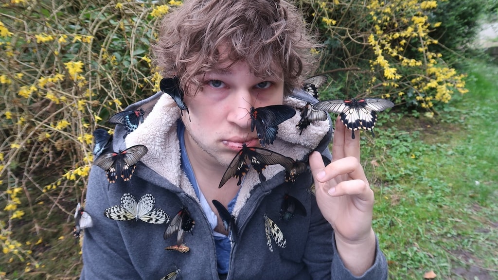 Man Butterfly Bart is sitting among the butterflies he grew in his garden.