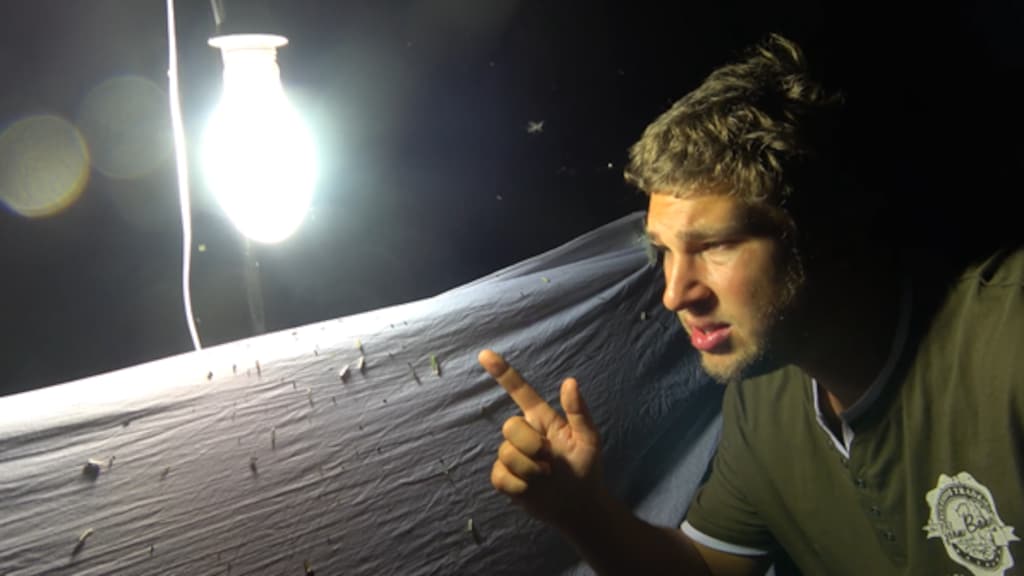 Bart did not give up and continued his own research on butterflies.