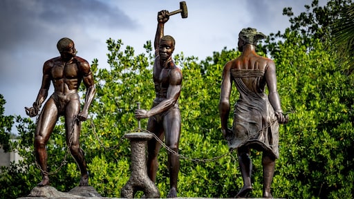 Insoddisfazione per il sostegno finanziario alla ricerca sulla storia della schiavitù: “Troppo poco” | Notizie RTL Insoddisfazione per il sostegno finanziario alla ricerca sulla storia della schiavitù: “Troppo poco” | Notizie RTL