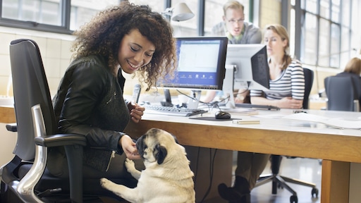 Woef, woef: honden van medewerkers zorgen voor irritatie in Europese Commissie