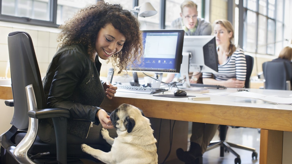 Woef, woef: honden van medewerkers zorgen voor irritatie in Europese Commissie
