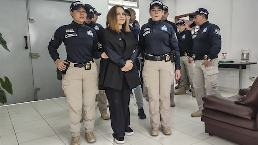 Mode-ontwerpster de cel in voor smokkelen tassen krokodillenleer