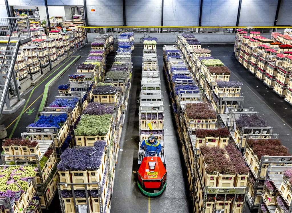 Bloemenbranche en vleessector bezorgd over inspecties Verenigd Koninkrijk