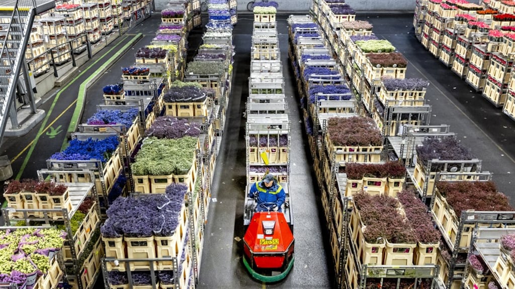 Bloemenbranche en vleessector bezorgd over inspecties Verenigd Koninkrijk