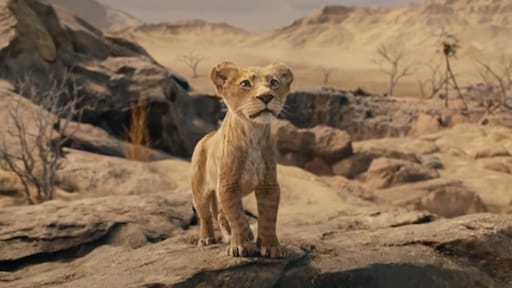 Van Moana tot Captain America: 6 nieuwe Disney-films die je echt niet mag missen