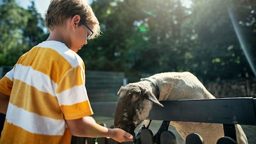 'Wist je dat kinderen eigenlijk net hongerige schapen zijn?'