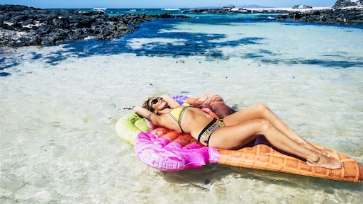 Het huishoudboekje van een drugscrimineel: 19 auto's, vakantie Malediven en nieuwe borsten voor vriendin