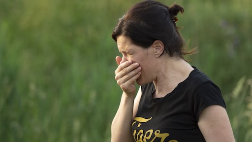 Tagliare alberi e trasportare lavoratori su un'isola tropicale: i paesi si mobilitano contro la febbre da fieno | Notizie RTL Tagliare alberi e trasportare lavoratori su un'isola tropicale: i paesi si mobilitano contro la febbre da fieno | Notizie RTL