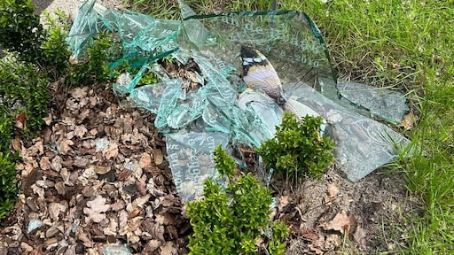 Twee mannen vallen Utrechtse grafvernieler aan in rechtbank