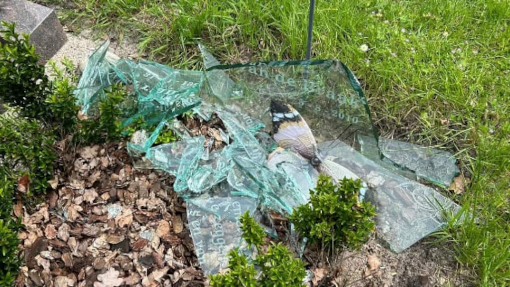 Mohamed B. 'wilde als martelaar IS sterven' en vernielde tientallen graven