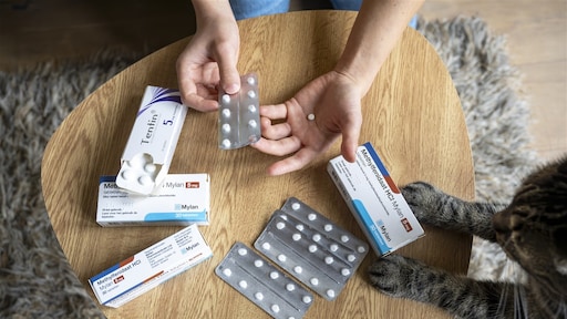 I medici a volte prescrivono farmaci per l’ADHD ai bambini stressati Notizie RTL I medici a volte prescrivono farmaci per l’ADHD ai bambini stressati Notizie RTL