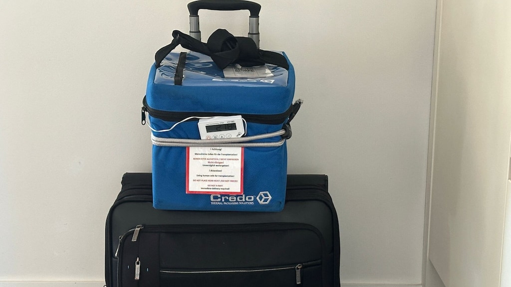 Een koffer gevuld met stamcellen.