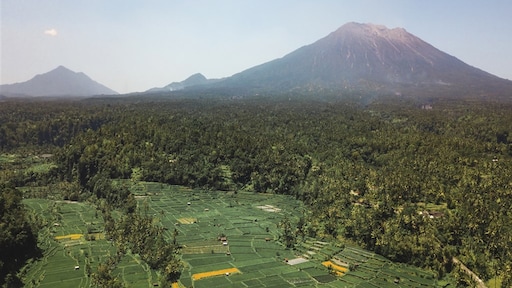 Un uomo olandese di 29 anni è morto mentre faceva un'escursione su un vulcano di Bali ed era sul sentiero senza guida Notizie RTL Un uomo olandese di 29 anni è morto mentre faceva un'escursione su un vulcano di Bali ed era sul sentiero senza guida Notizie RTL