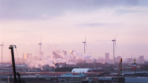 TNO: verduurzaming goedkoper als consumenten hun leefstijl aanpassen