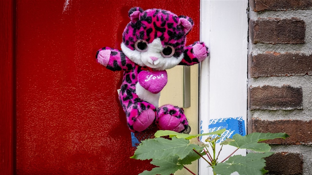 Ernstig gewond meisje (10) woonde al ruim 2 jaar bij pleegouders