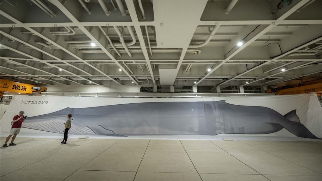 De slachtruimte aan boord.