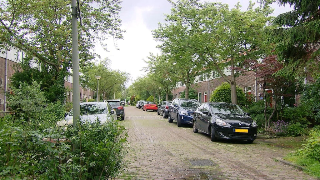 Inspectie doet onderzoek naar zorg 10-jarig meisje Vlaardingen: was ze veilig genoeg?