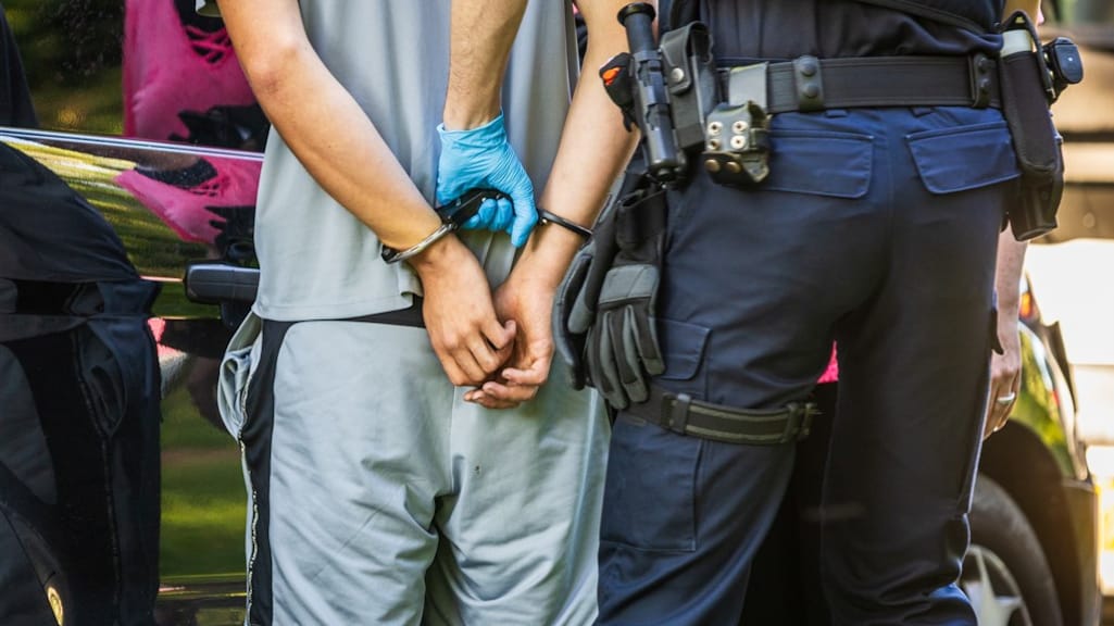 Hoogleraar: meer aandacht nodig voor hersenschade bij daders van misdrijven