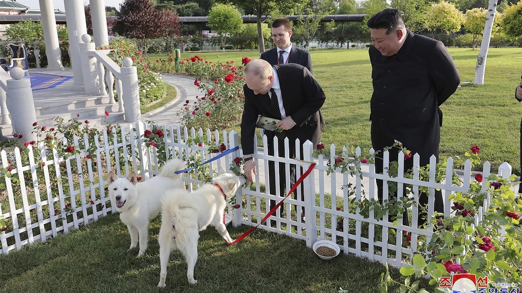 Bijzonder cadeau voor Poetin na bezoek aan Noord-Korea