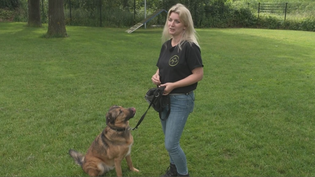 Tbs-kliniek voor bijthonden boekt succes: 'Verdienen tweede kans'