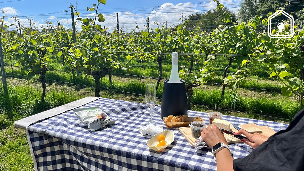 Wijnproeverij van eigen bodem? Bezoek deze Nederlandse wijngaarden